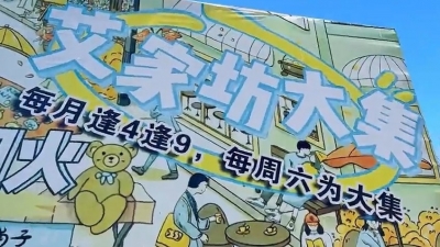 返乡大学生赶大集感受传统年味儿