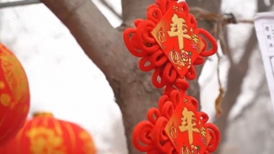 武城：千里万里 回家过年