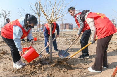 “植”此新绿，不负春光 | 德州市民政局开展“生态文明 绿色植树”活动  