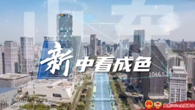 “新”中看成色｜经济发展实现新跃升