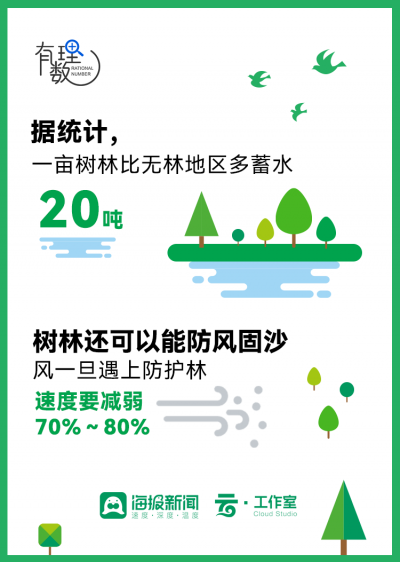 有理数丨 “植”此青绿 一组数据告诉你我们为什么要种树