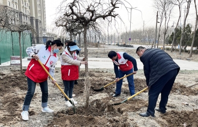 爱护生态环境 共建绿色家园 | 天衢新区宋官屯街道开展植树节活动