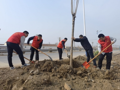 庆云中丁乡：开展义务植树活动