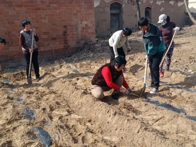 “三类地”开发利用 | 夏津县封庄村探索村集体经济发展新路径