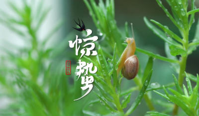 德报说节气 | 今日惊蛰！春雷惊蛰户，万物始复苏