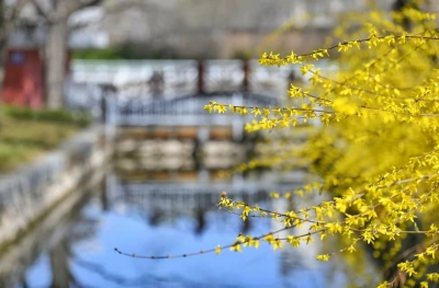 诗 | 田翠玲：雷锋颂（外一首）