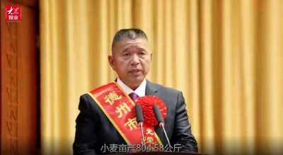 大众日报｜德州段希林：“粮王”高产有秘诀