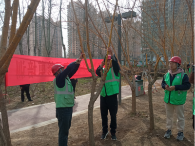 德州园林开展技能培训，提升精细化作业能力