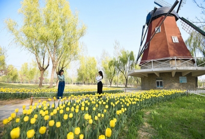 德报说节气 | 今日春分！岁时春已半，人间正芬芳