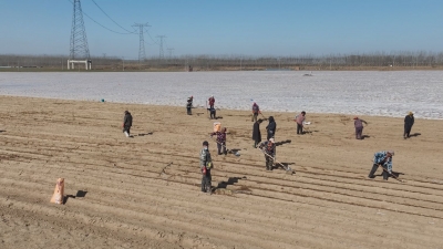 夏津县渡口驿乡：人勤春早话农桑 联合社里春耕忙