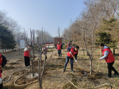德州数字城管：开展义务植树活动