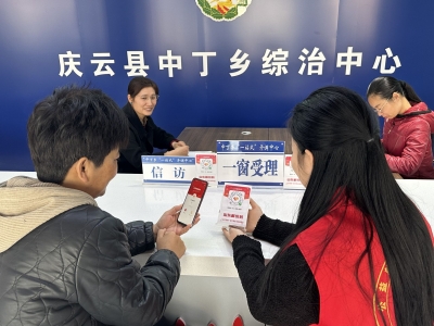 庆云县中丁乡：网格排查除隐患 一码在手解纠纷