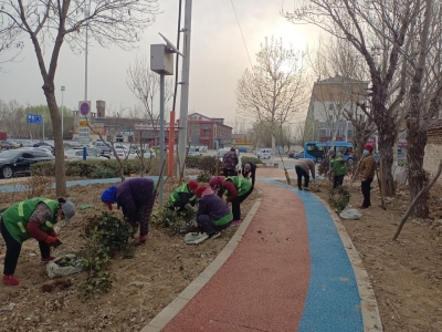 【创建国家生态园林城市】陵城区：厚植生态底色 传承历史文脉  