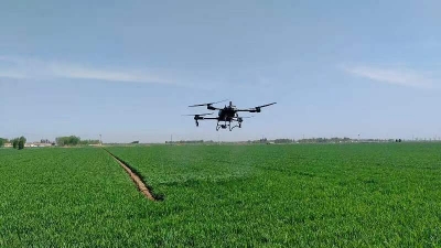 德州市供销社 | 当好“田保姆” 全程护航小麦春管