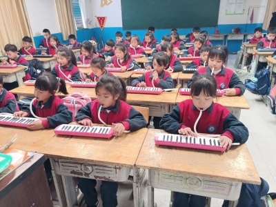 乐陵市寨头堡乡中心小学：乐器进课堂 提升学生综合素养