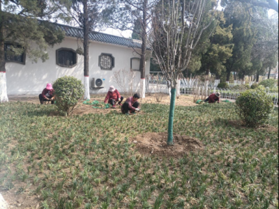 德州人民公园牡丹园即将开园