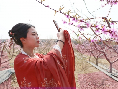 庆云：以花为媒 “颜值”变“产值”