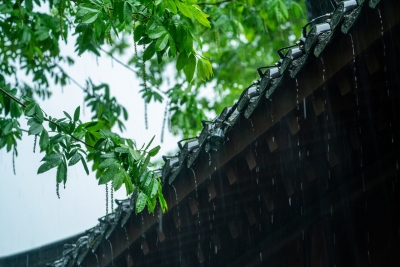 长诗｜马洪柱：痛悼张跃中