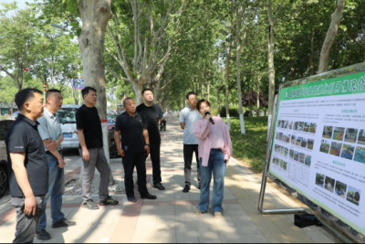 赤峰来德州考察交流德州城市园林绿化工作