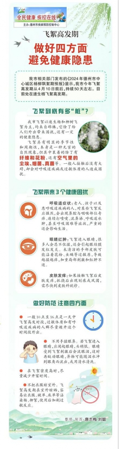 一图读懂 | 飞絮高发期 做好四方面避免健康隐患