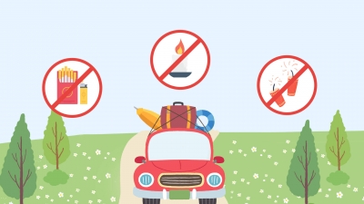 MG动画丨防患未“燃”，森林防火这些知识需牢记