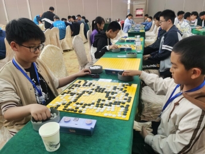 “棋”聚德州！全省530余名棋手精彩对弈