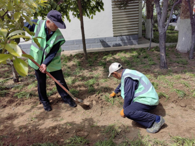 德州园林：坚守岗位，为市民装扮美丽春色  