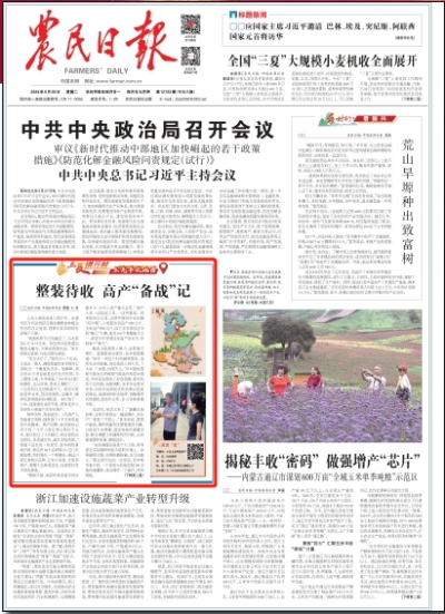《农民日报》头版点赞齐河：整装待收 高产“备战”记