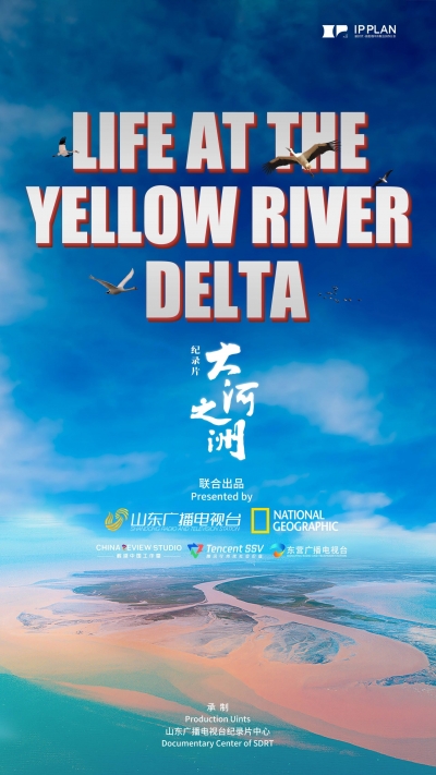Video丨Shandong Radio and Television Station’s “Life at the Yellow River Delta” Sweeps Telly Awards