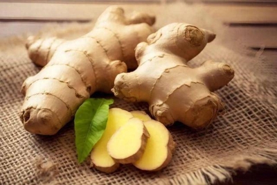 中医养生 | 姜糖苏叶饮