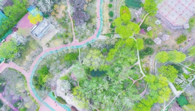 德州中心城区实施公园绿地开放式管理，“可赏”美景变“可玩”乐园