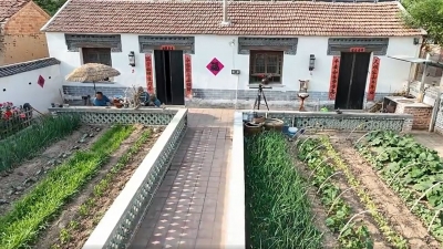 平原县：走进传统民俗 感受烟火生活里的诗和远方 