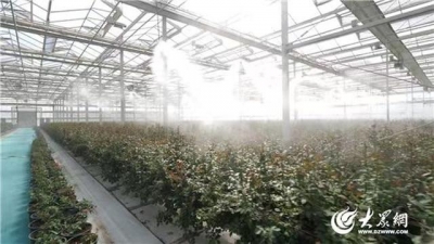 “镇”兴路上的淄博：“产业兴，特色浓，文旅融”三部曲