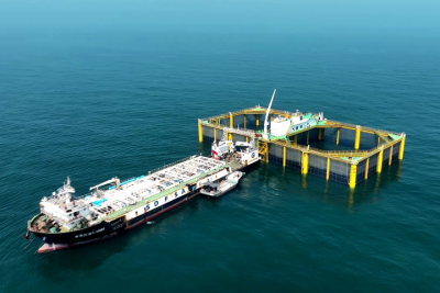 山东日照：一尾鱼“游”出一条链