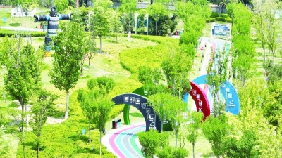 民生至上 向暖而行 | 齐河：水在城中 城在绿中 人在景中