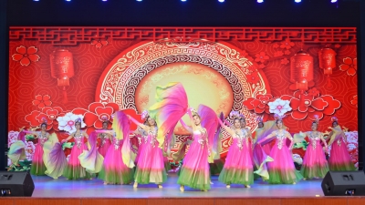 2024年德州市全民艺术普及教学成果展演举办