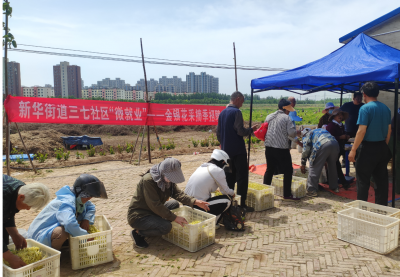 德城区人社局：创新社区就业模式 擦亮“就在家门口”品牌