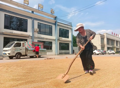 庆云：耕地保护护航三夏好“丰”景