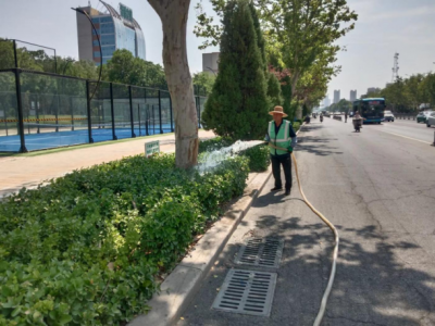 德州园林：全面开展抗旱保绿行动为绿化苗木“降温解渴”  