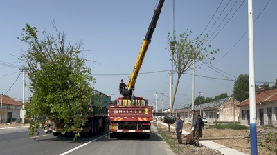 乐陵丁坞镇：基层“微协商”解决百姓烦心事