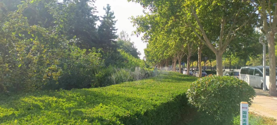 德州园林：施“凉”策，应对夏季高温  