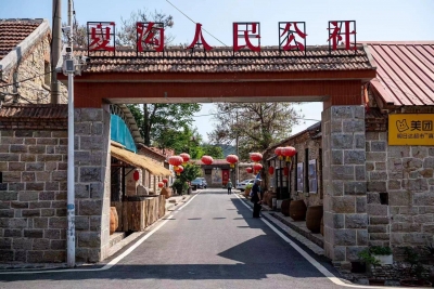 万物丰茂！山东加快特色产业发展，助力乡村全面振兴