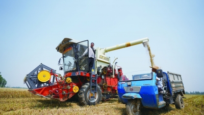 德报人物·听见 | 追赶丰收  讲述人：李金照