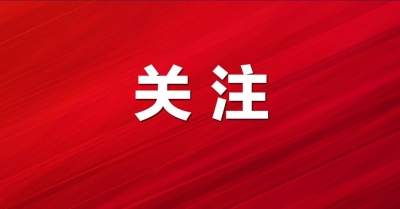 市委编办创新开展常态化差异化智能化监管推动公益事业高质量发展