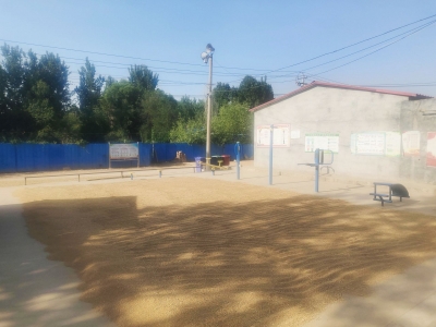 宁津：小小“分忧码”为民解忧