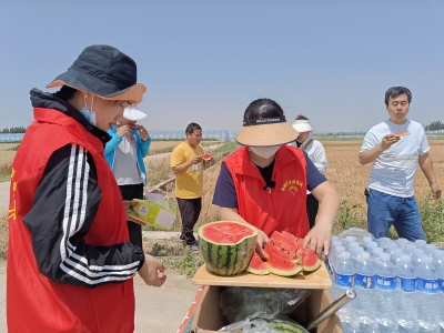 陵城区宋家镇：麦收一线送清凉 助力“三夏”抢收忙