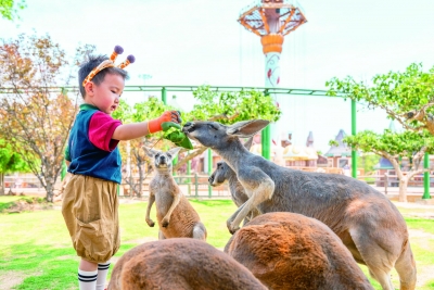 齐河泉城欧乐堡动物王国 | 游客“化身”饲养员 动物尽享粽子宴