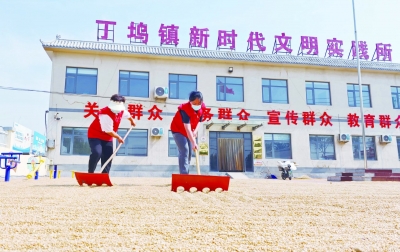 俺场院大，来俺这晒麦子！乐陵基层公共场所变身晒粮场