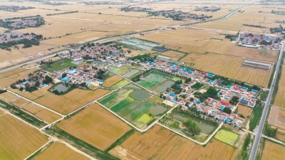 【说说俺们的村史】临邑县林子镇双张村：古村焕新貌 打造乡村振兴样板