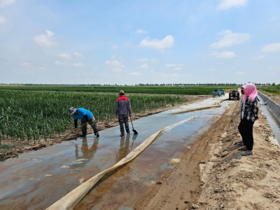 聚焦防汛抗旱|用足用好黄河水——山东沿黄地市抗旱一线扫描